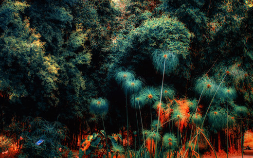 728340 (a): :2560x1600